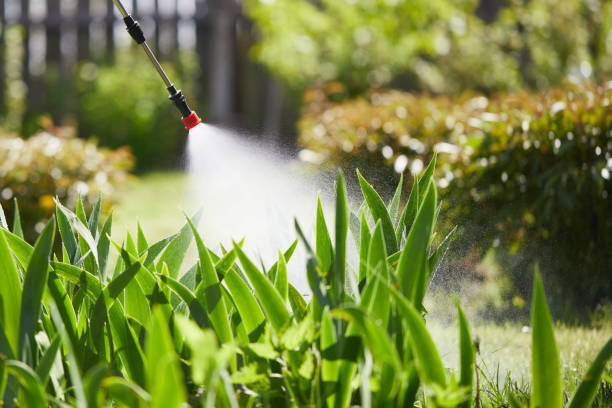 24/7 Emergency Cockroach Control experts in Louisville, MS