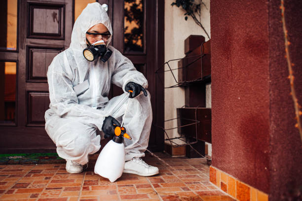 Reliable Cockroach Control contractor in Louisville, MS by Nex Pest Control