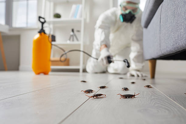 Affordable Cockroach Control solutions in Louisville, MS